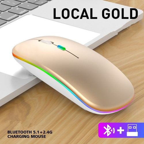 Souris Sans Fil Bluetooth, 2.4G USB Rechargeable Pour Tablette PC