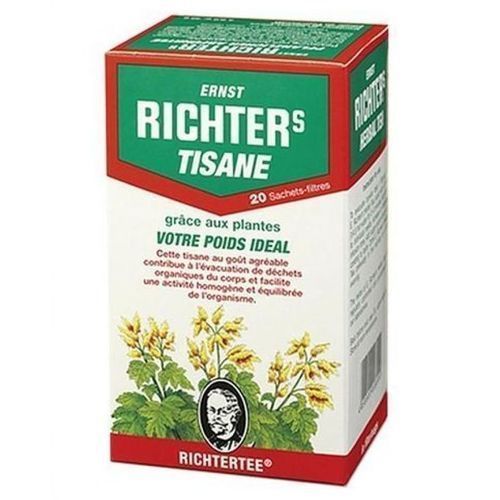 Ernst Richter Tisane Amaigrissante Filtre 20 - Pazzox