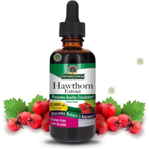 product_image_name-Mason Natural-Hawthorn Berry, Fluid Extract, Alcohol-Free, 2,000 mg, 1 fl oz (30 mL), Baie d'aubépine, Extrait fluide-1