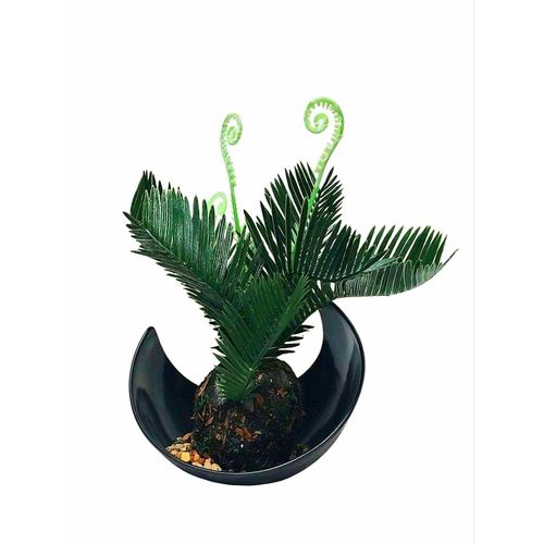 product_image_name-Generic-نبتة صناعية. نخيل الساغو الياباني مع وعاء زخرفي هندسي فريد.-3