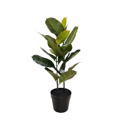 product_image_name-Generic-PLANTE ARTIFICIELLE FICUS ELASTICA-1