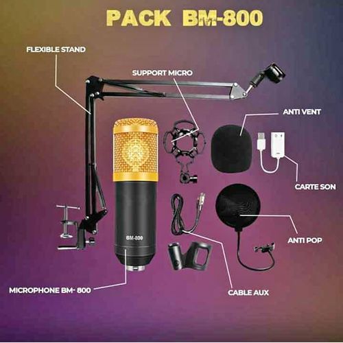 ZINGYOU BM-800 Condenser Microphone Bundle for Studio Recording &  Brocasting (Black)