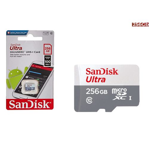 SanDisk Carte mémoire Ultra microSDXC UHS-I 256 Go (pour