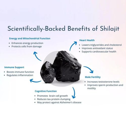 product_image_name-Herbo Ridouane-كبسولات شيلاجيت للطاقة 60 كبسولة، مصنوعة من شيلاجيت نقي بنسبة 100%، للحصول على الطاقة والقدرة على التحمل طوال اليوم، غنية بحمض الفولفيك، تقوي دفاعات الجسم الطبيعية.-5