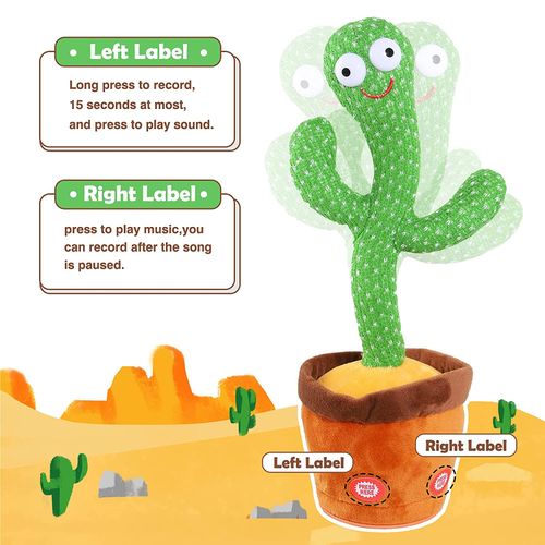 Cactus Dansante Pour Enfant - Tunewtec Tunisie