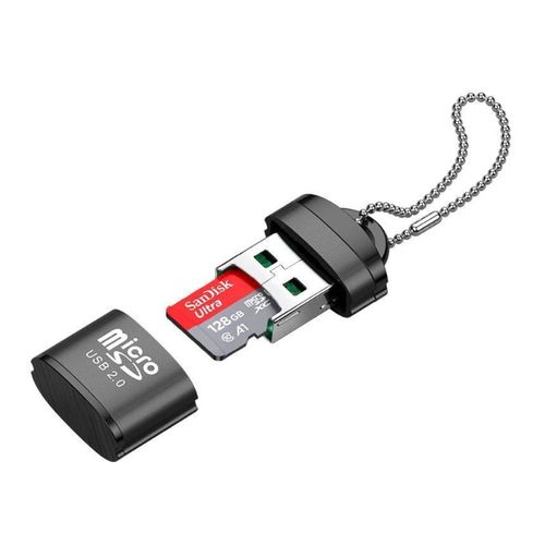 TFLASH Lecteur Carte Mémoire USB Mini Micro SD T-Flash M2 à Haute Vitesse -  Noir à prix pas cher