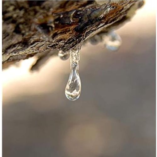 product_image_name-Generic-Misca Hora de Chios, remède naturel contre Helicobacter Pylori, 50 g-4