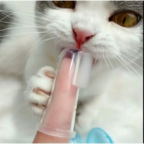 product_image_name-Generic-Brosse à Dents pour Chien et Chat – Nettoyage Dentaire Doux & Anti-Tartre-5