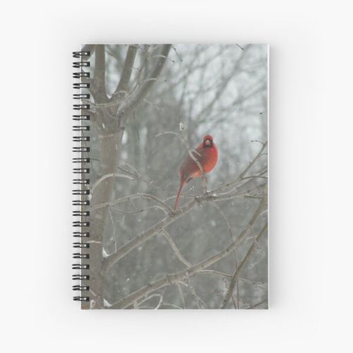 product_image_name-Generic-The Red Bird Spiral Notebook Bloc note-1
