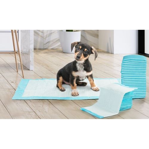 Canijess Lot de 25 tapis absorbants, tapis éducatif pour chien 40 cm x 60  cm à prix pas cher