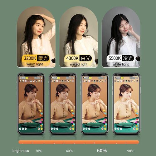 product_image_name-Generic-Eclairage Annulaire LED 19 Pouces avec télécommande trois couleurs, trépied réglable, Panneau Lumineux Vidéo, Lampe d'Équipement Photographique, Lumière d'Appoint LED de Studio pour Prise de Vues Photo, Vidéo et Film RL-19-5