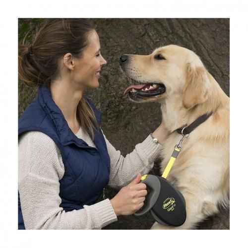 Laisse Enrouleur Flexi Neon, Laisse Chien