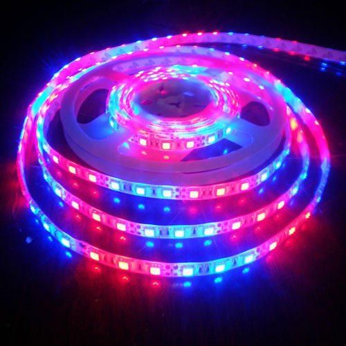 product_image_name-Led Strip-ضوء 5050 RGB 5 متر مرن مقاوم للماء 16 لون, جهاز تحكم عن بعد جودة عالية :)-1