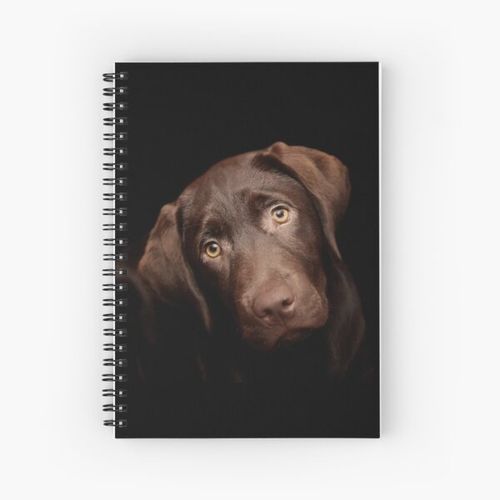 product_image_name-Generic-Frank Spiral Notebook Bloc note-1