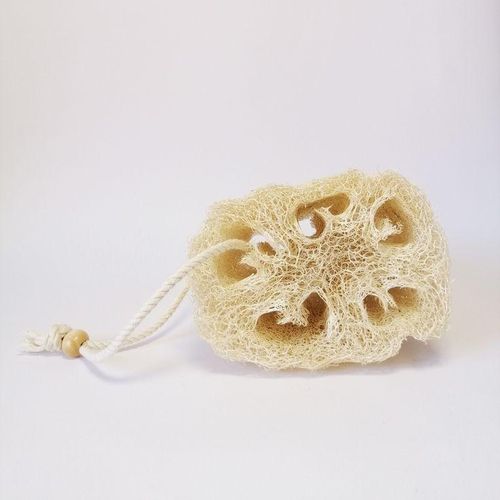 product_image_name-Health-Lofa-1