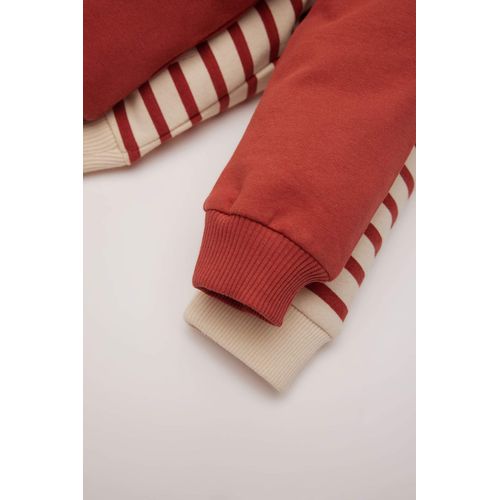 product_image_name-Defacto-سويت شيرت مخطط قصة عادية بياقة مستديرة ببطانة ناعمة من قطعتين-4