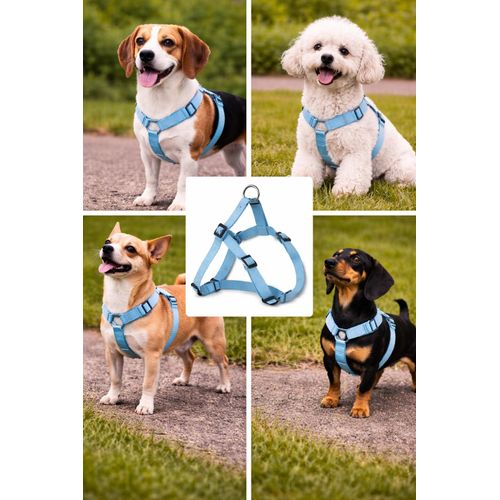 product_image_name-Generic-Harnaiss Chien Bleu Réglable en Nylon – Ultra Résistant avec Anneau Métal-3