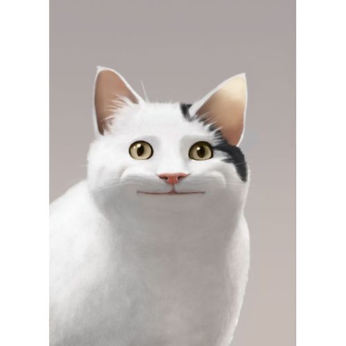 product_image_name-Generic-Polite cat meme  Style 27 Poster Chambre Haute Qualité-1