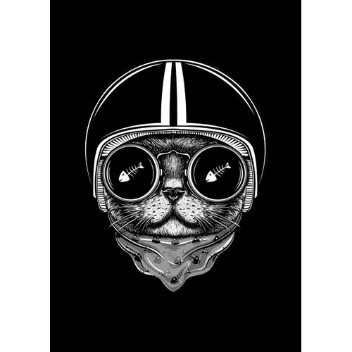 product_image_name-Generic-Cat rider  Style 4 Poster Chambre Haute Qualité-1