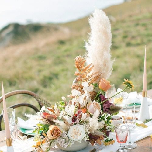 product_image_name-Generic-نباتات بامبا 10 قطع لتزيين الغرفة وديكور الزواج-4