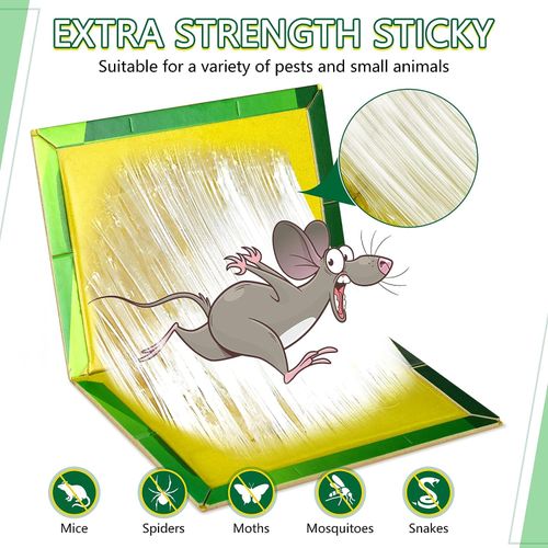 Acheter Attrape-souris Invisible, piège à colle domestique, tapis de souris  collant, couverture de colle pour Rat, panneau de colle