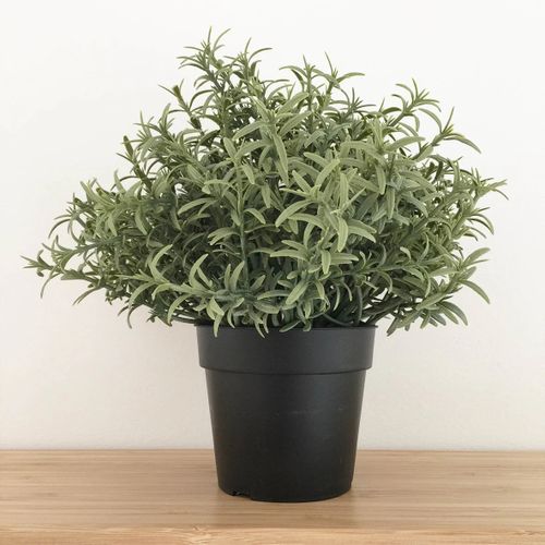 product_image_name-Generic-Plante artificielle Romarin en pot noir (Hauteur 22 cm)-1