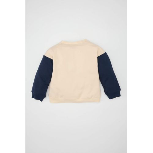 product_image_name-Defacto-سويت شيرت قصة عادية بياقة مستديرة ببطانة ناعمة من سنوبي-3