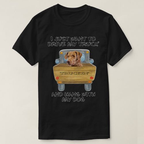 product_image_name-Generic-Truck Driving Dog Chesapeake Bay Retriever T-Shirt unique design - t shirt tres bon qualite-2