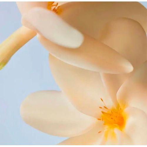 product_image_name-Yves-Shampooing Gel Douche Concentré Monoï 100ml (comme un 400ml)- Origine France-5