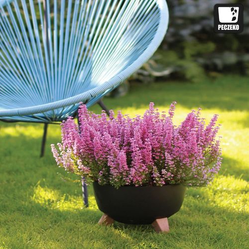 Gondol Grand Pot de fleur 10 litres Idéal pour l'intérieur et l