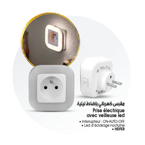 product_image_name-Heifer-Prise électrique avec lumière-1