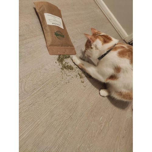 AFP Catnip pour Chat, À Chat Séchée