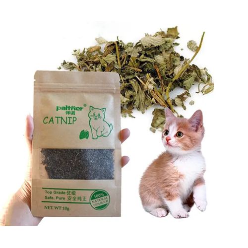 Generic Herbe à chat Catnip naturel à prix pas cher