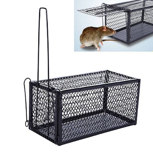 Cage de piège à souris en fil galvanisé