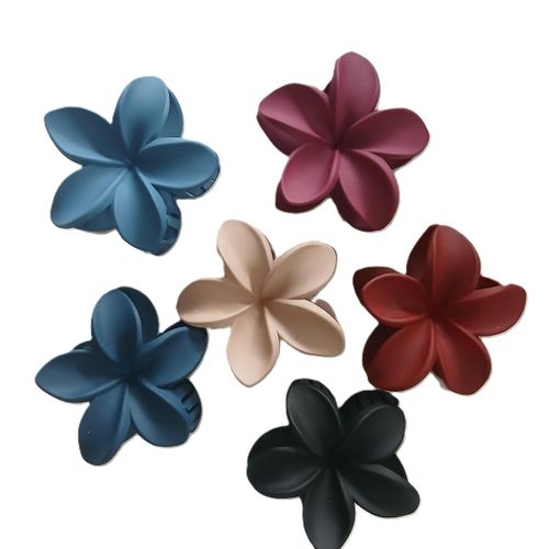 product_image_name-Generic-مجموعة 6 دبابيس شعر - أناقة بين يديك-1