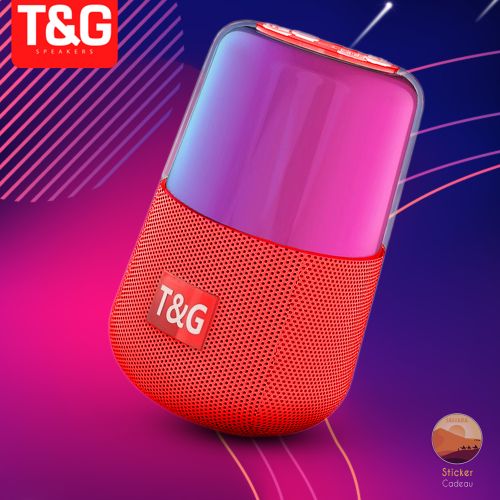 Enceinte Bluetooth Portable 1200 MAH 6H