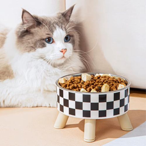 product_image_name-Generic-Gamelle en acier inoxydable et plastique pour chat-3