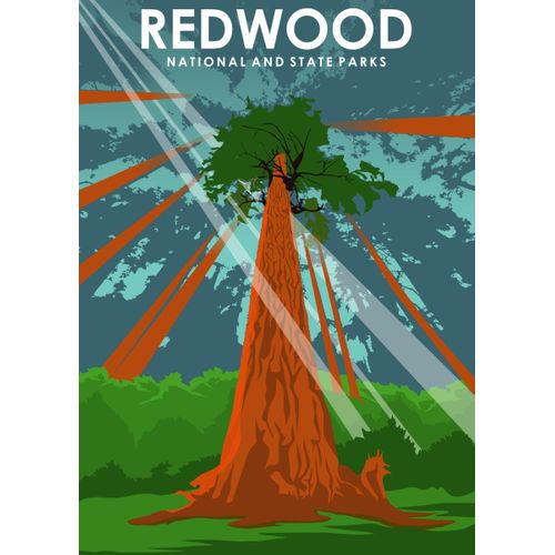 product_image_name-Generic-Redwood national park art  Poster Chambre Haute Qualité-1