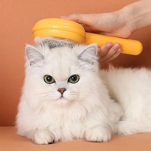 product_image_name-Generic-Peigne pour chats et chiens,Peigne anti-poux pour chats et chiens à aiguille spéciale,Brosse anti-poux pour éliminer les poux-1