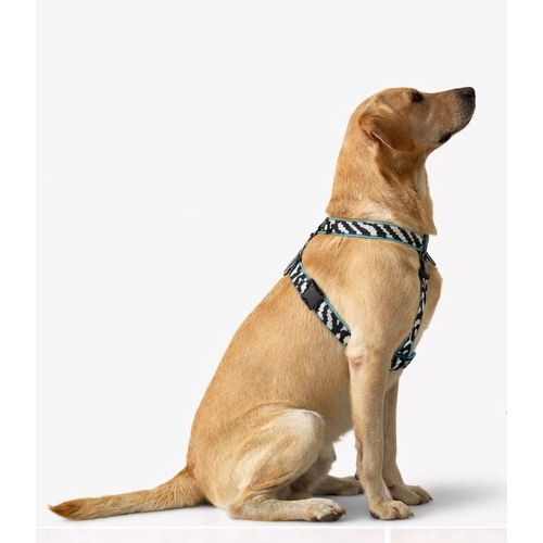 product_image_name-Generic-Harnaiss pour Chien Taille Moyenne – Réglable, Confortable & Sécurisé – Motif Géométrique Noir/Blanc avec Finition Turquoise-1