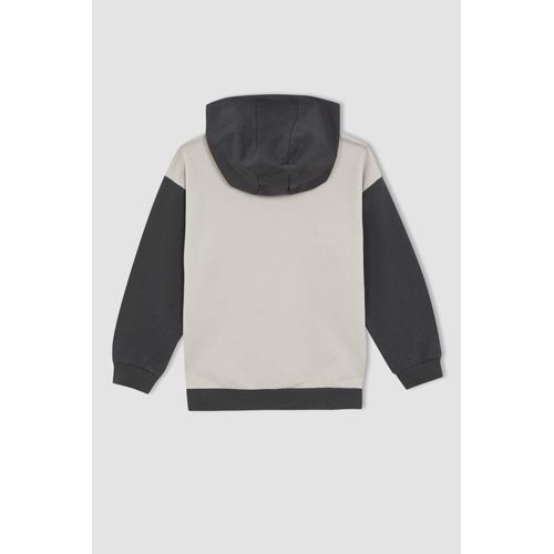 product_image_name-Defacto-Boy Mickey & Minnie Licenced Regular Fit Long Sleeve Hoodie-3