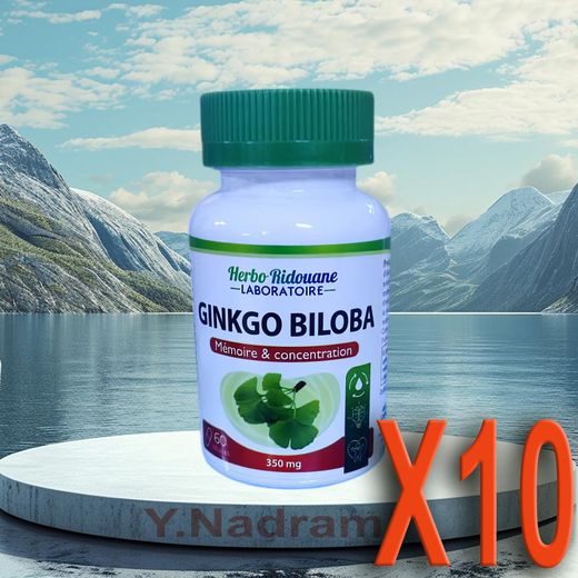 Herbo Ridouane Ginkgo Biloba Améliore la circulation sanguine et augmente le flux sanguin vers le cerveau X10