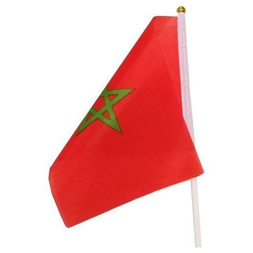 Generic Lot de 20 Drapeaux de Maroc, 30 cm x 20 cm - image 4