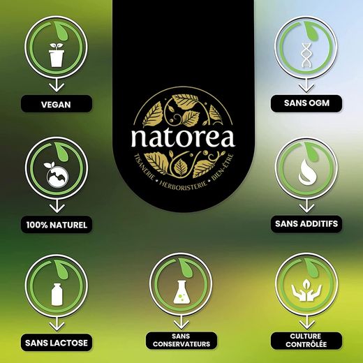 Natorea Feuilles d'ortie séchées BIO pour Infusion Tisane biologique 100g - image 2