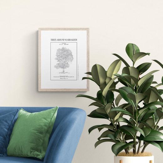 The Vintage Factory Planche botanique EUCALYPTUS