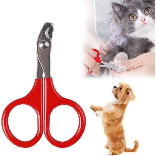 Generic Coupe-Griffes pour Chat et Chien – Ciseaux de Toilettage en Acier Inoxydable