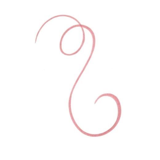 Essence CRAYON A LEVRES LINE N' STAIN TATTOO N2  Must Have Brown - image 3