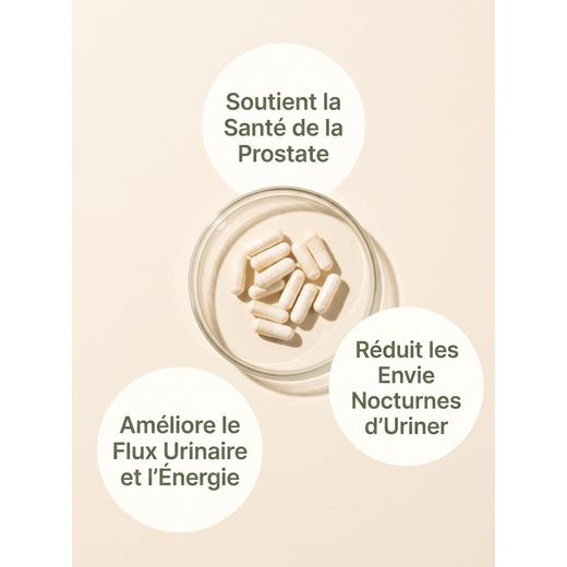 Angel PROSTAX (60 Capsules) Santé Prostate & Confort - image 3