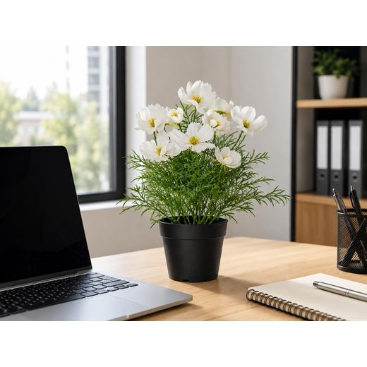 Generic Plante Artificielle Cosmos Blanche en Pot Noir – Fleur Décorative Réaliste pour Maison, Bureau et Salon - image 3