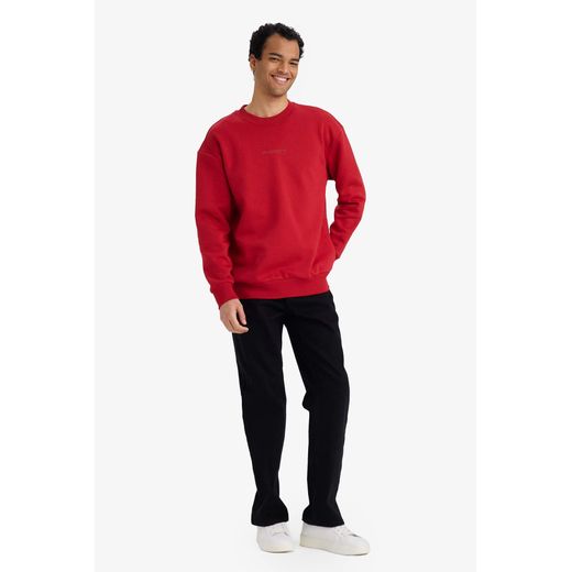 Defacto Sweatshirt imprimé à col rond Coupe Boxy - image 2